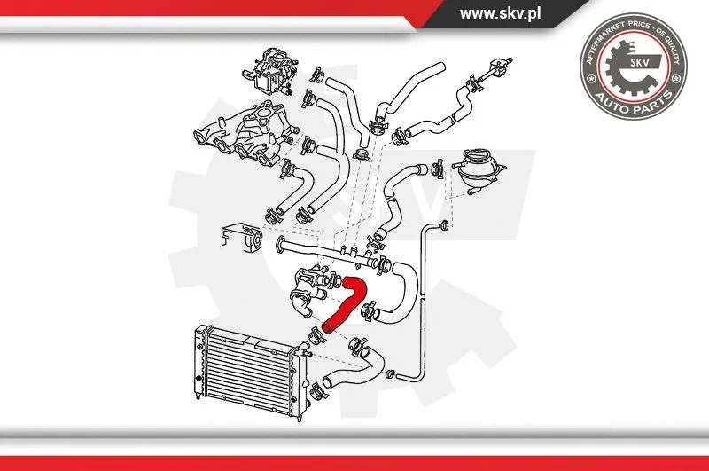 Radiator Hose