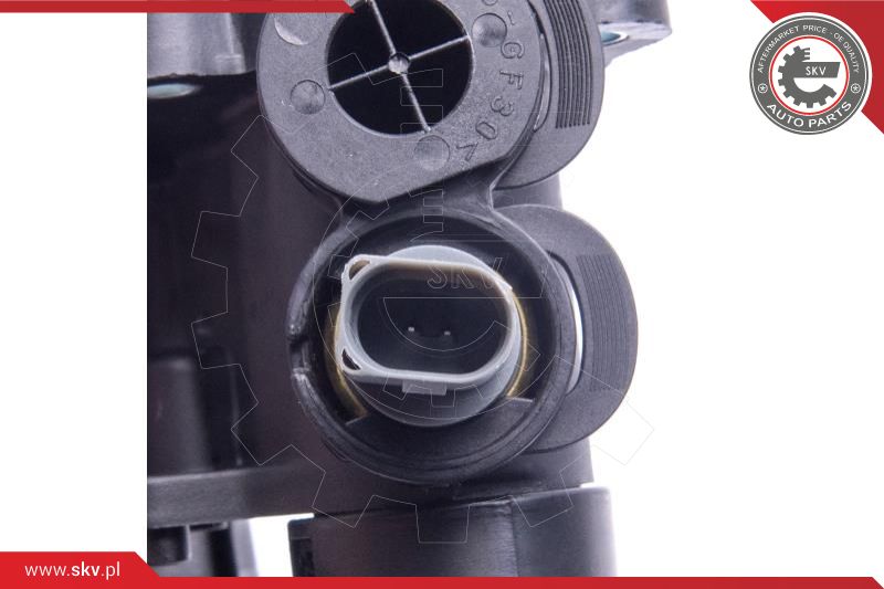 Thermostat, coolant