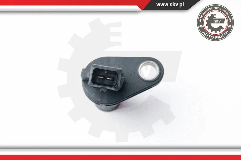 Sensor, camshaft position (17SKV347)