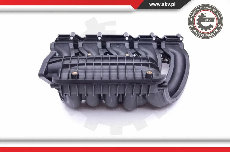 Intake Manifold Module