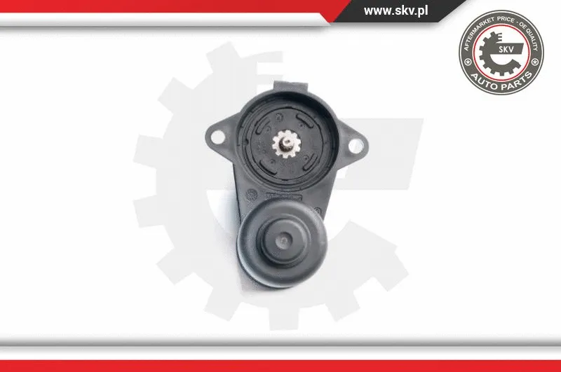 Control Element, parking brake caliper