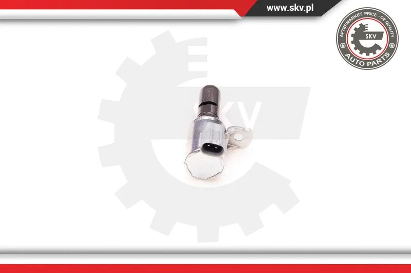 Control Valve, camshaft adjustment (39SKV004)