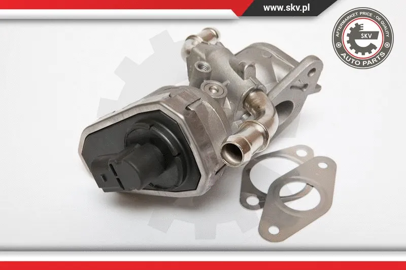 EGR Valve