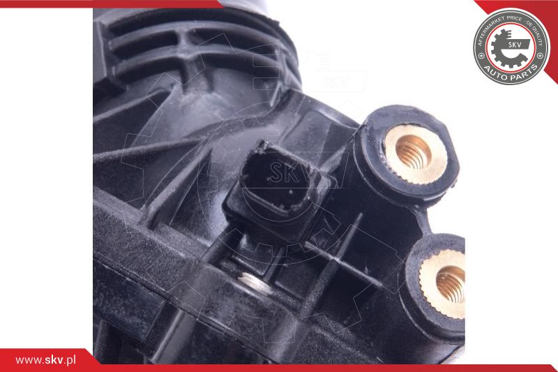 Thermostat, coolant