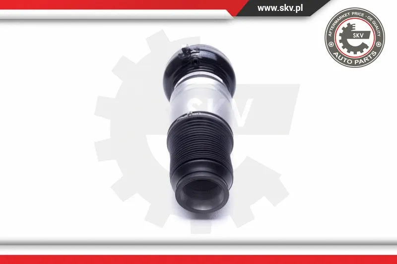 Air Suspension Strut