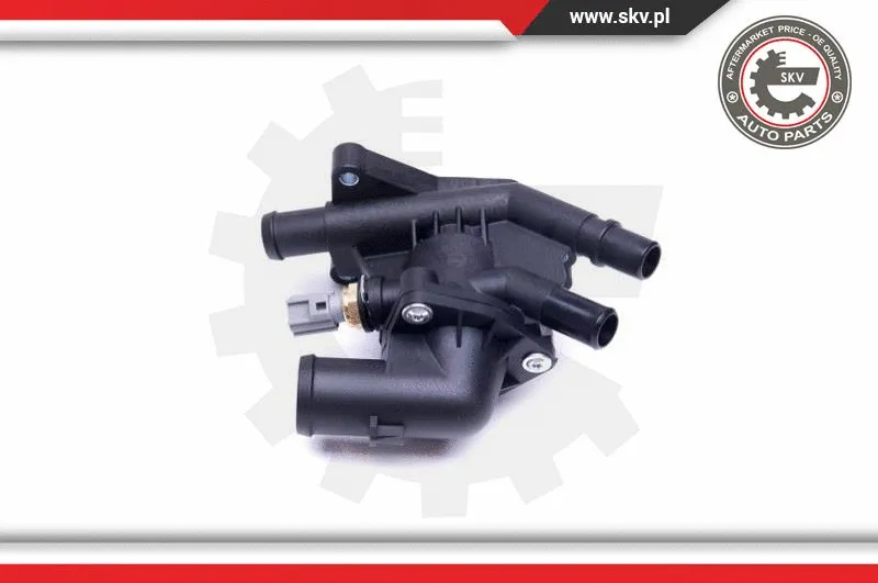 Thermostat, coolant