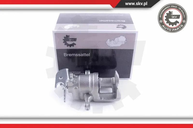Brake Caliper (44SKV253)