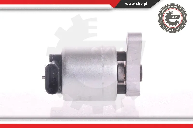 EGR Valve (14SKV004)
