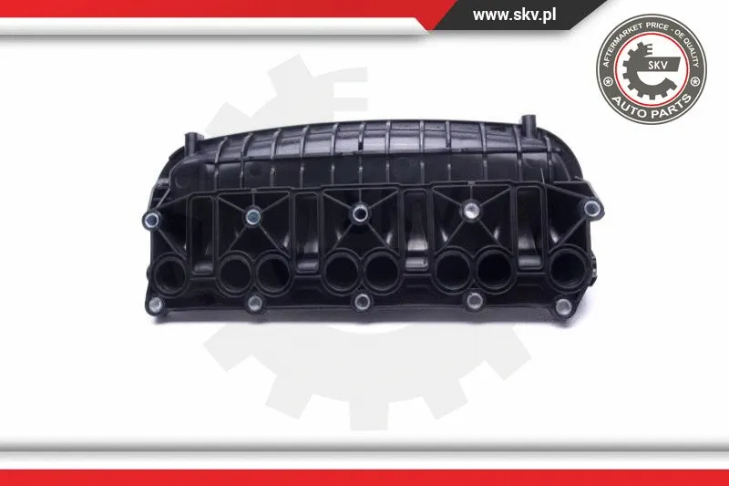 Intake Manifold Module