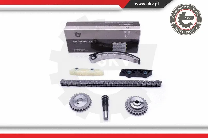 Timing Chain Kit (21SKV143)