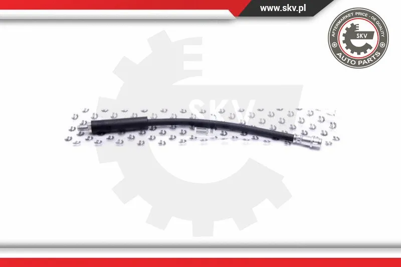 Brake Hose (35SKV205)