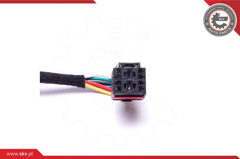 Electric Motor, tailgate