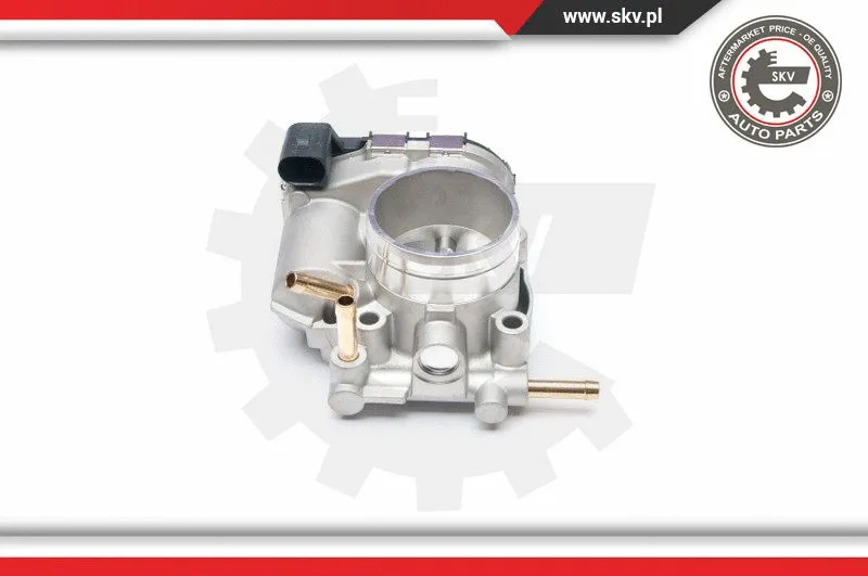 Throttle Body