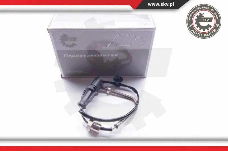 Sensor, exhaust gas temperature (30SKV081)