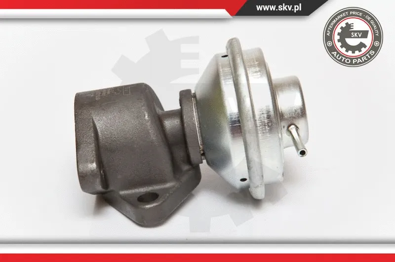 EGR Valve (14SKV051)