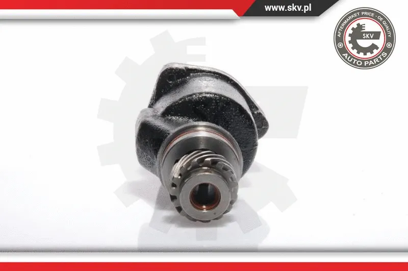 Vacuum Pump, braking system (18SKV001)