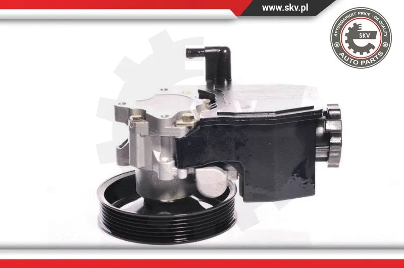 Hydraulic Pump, steering (10SKV139)