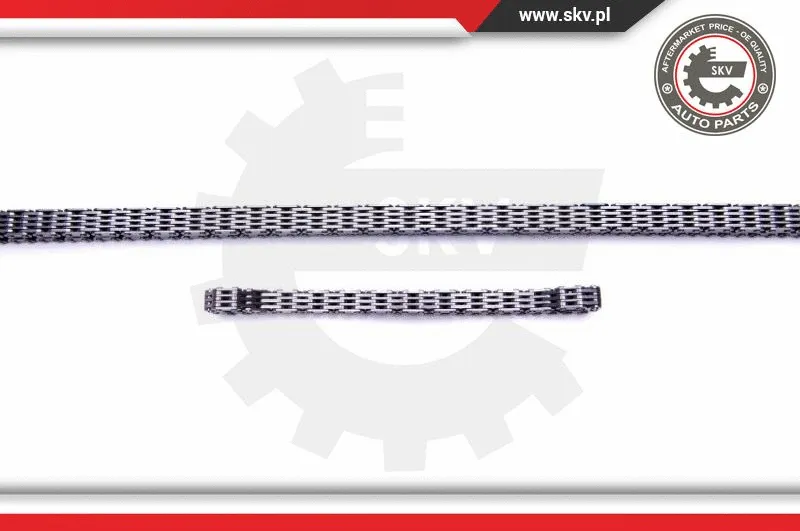 Timing Chain Kit