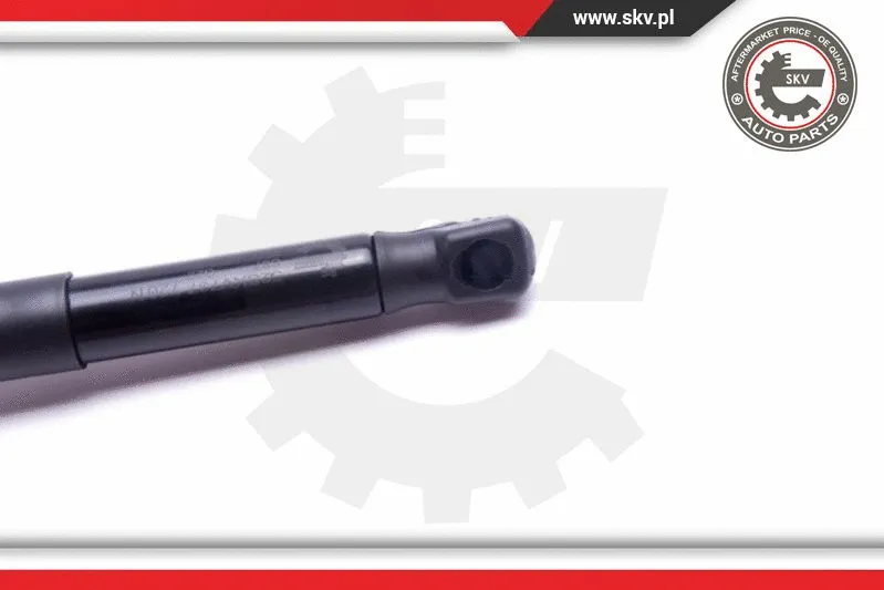 Gas Spring, boot/cargo area