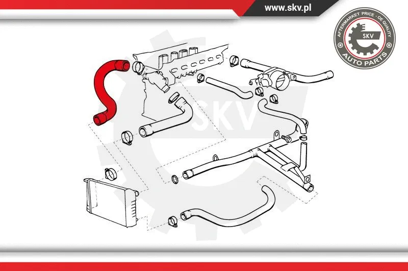 Radiator Hose