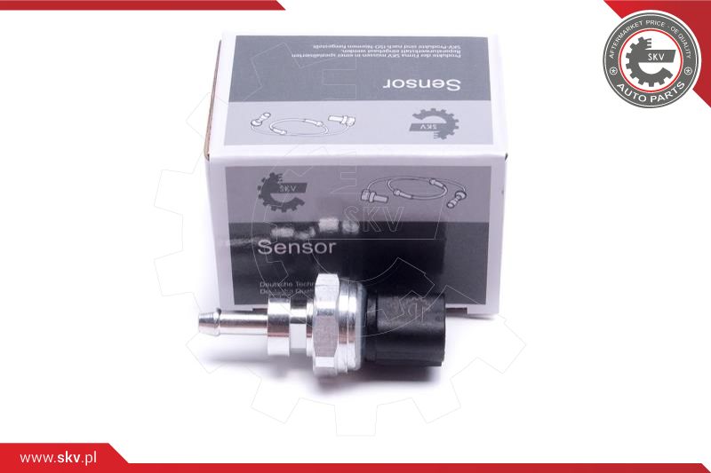 Sensor, exhaust pressure (17SKV783)