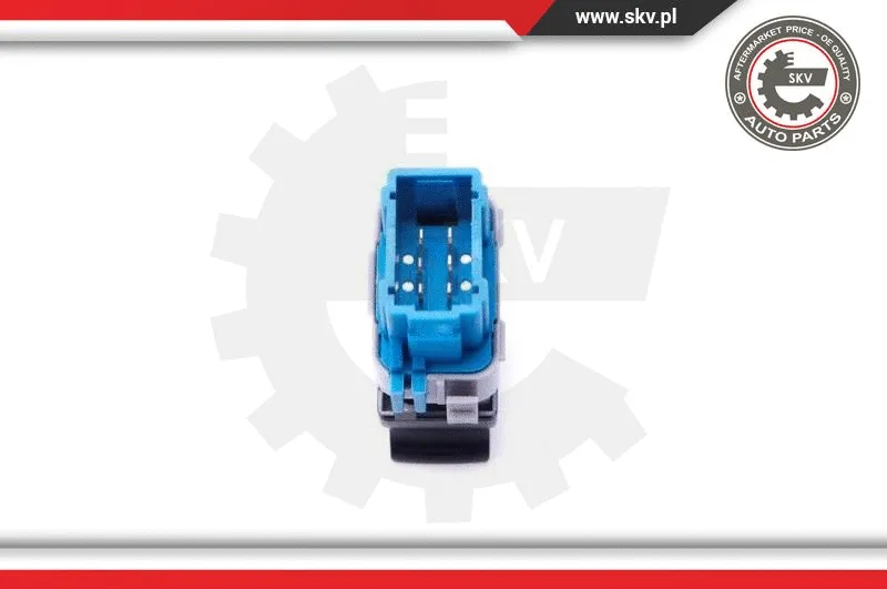 Switch, window regulator