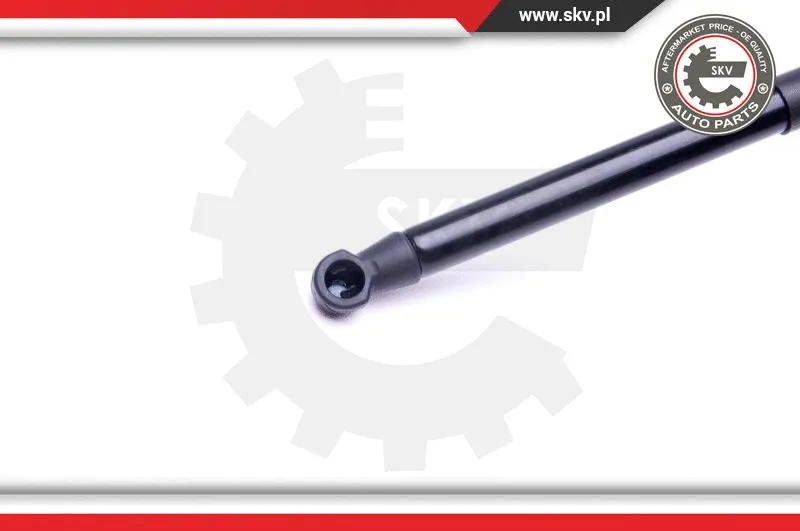 Gas Spring, boot/cargo area