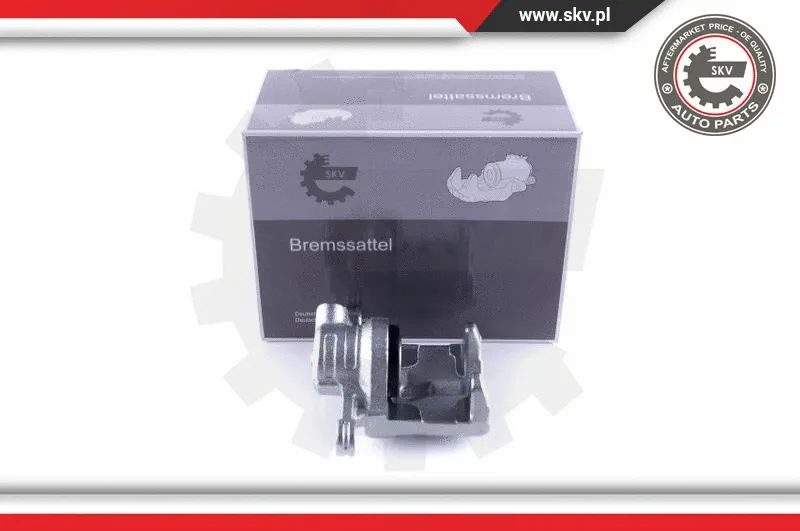 Brake Caliper (55SKV283)