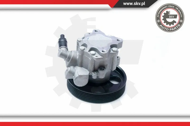 Hydraulic Pump, steering (10SKV073)