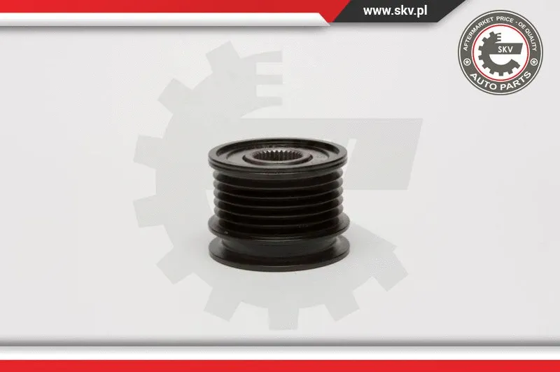 Alternator Freewheel Clutch