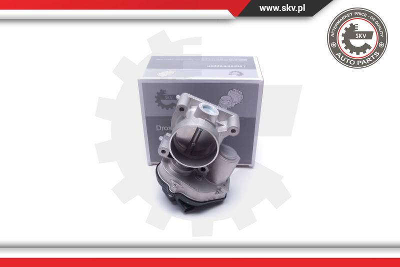 Throttle Body (12SKV104)