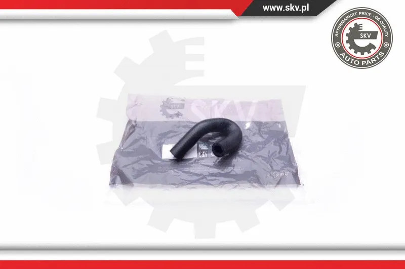 Radiator Hose (24SKV366)