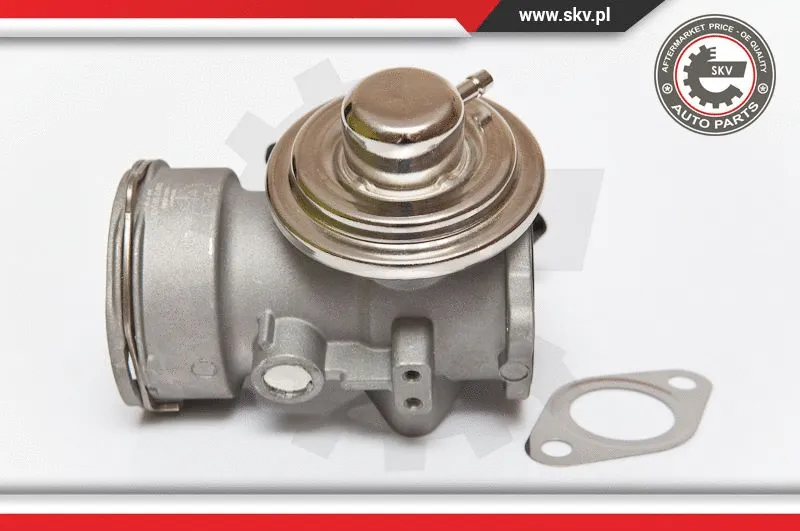 EGR Valve (14SKV080)