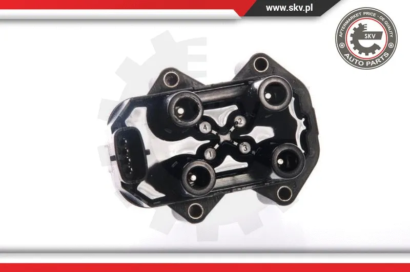Ignition Coil (03SKV163)