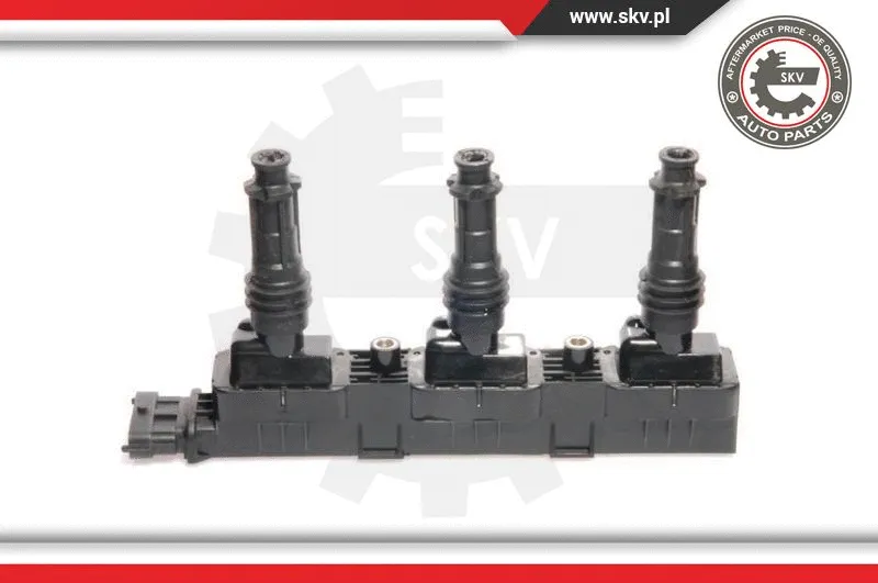 Ignition Coil (03SKV022)