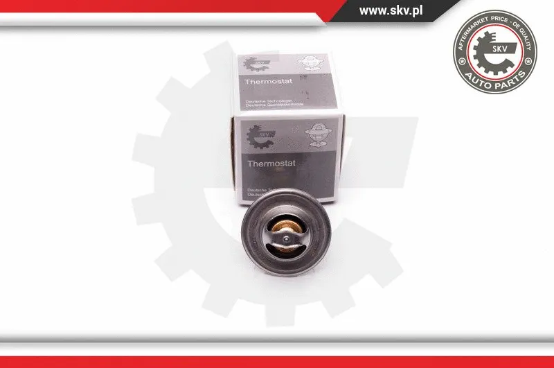 Thermostat, coolant (20SKV058)