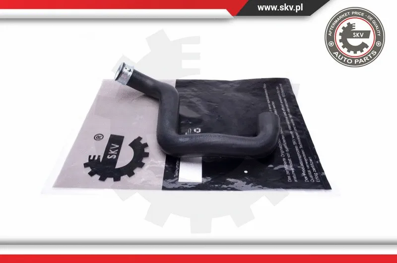 Radiator Hose (43SKV665)