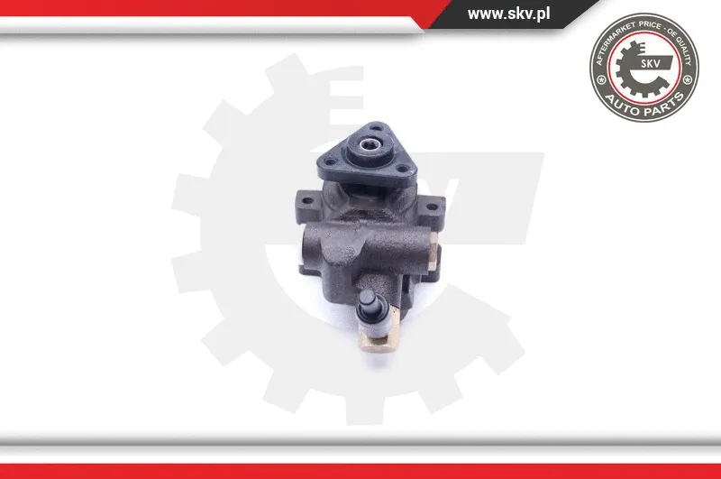 Hydraulic Pump, steering (10SKV253)