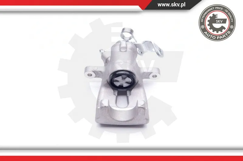 Brake Caliper (34SKV484)
