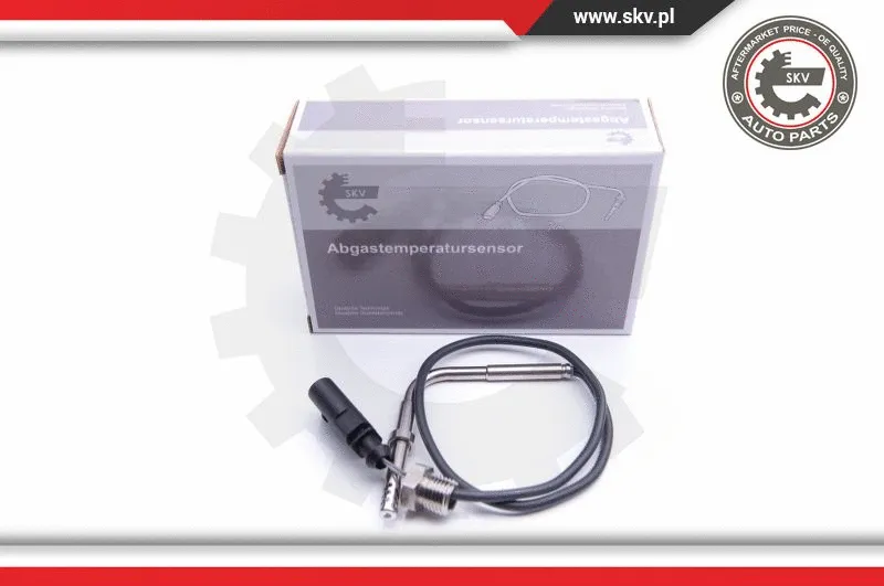 Sensor, exhaust gas temperature (30SKV163)