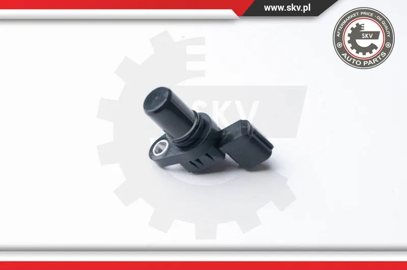 Sensor, camshaft position (17SKV256)