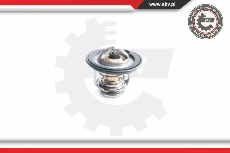 Thermostat, coolant (20SKV043)