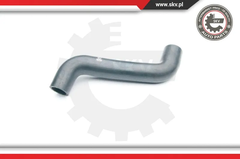 Charge Air Hose (24SKV087)