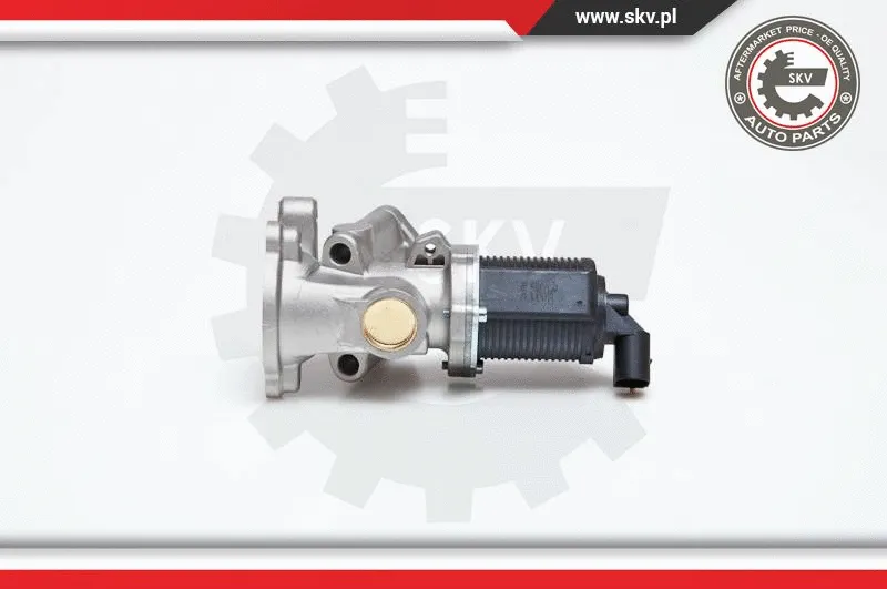 EGR Valve