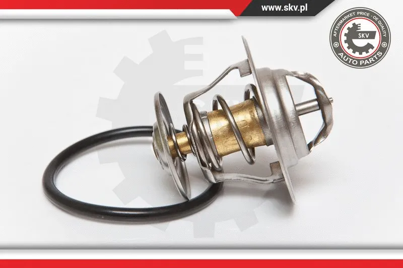 Thermostat, coolant