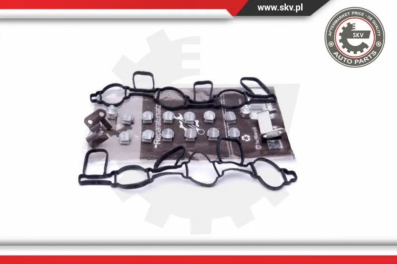 Repair Kit, intake manifold module (49SKV523)
