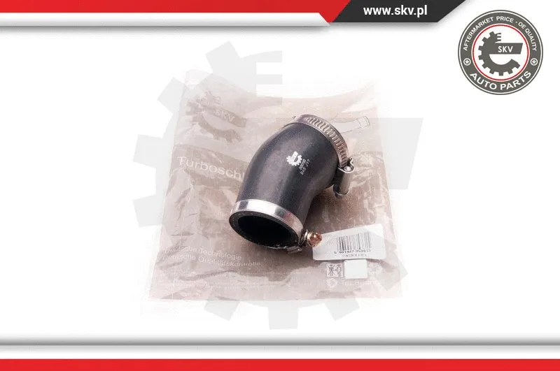 Charge Air Hose (24SKV183)