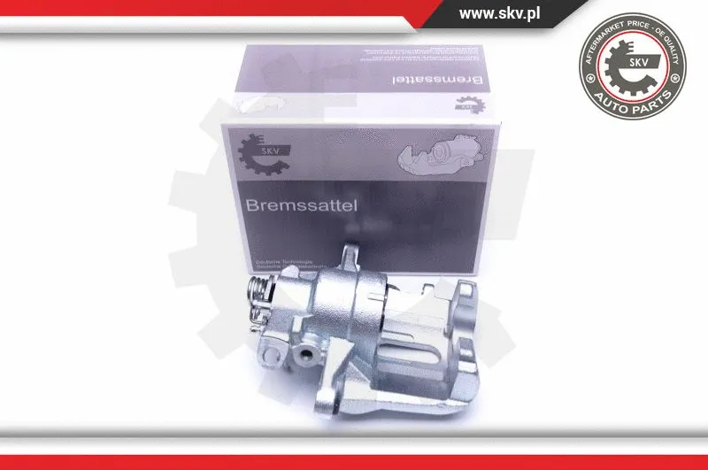 Brake Caliper (42SKV911)