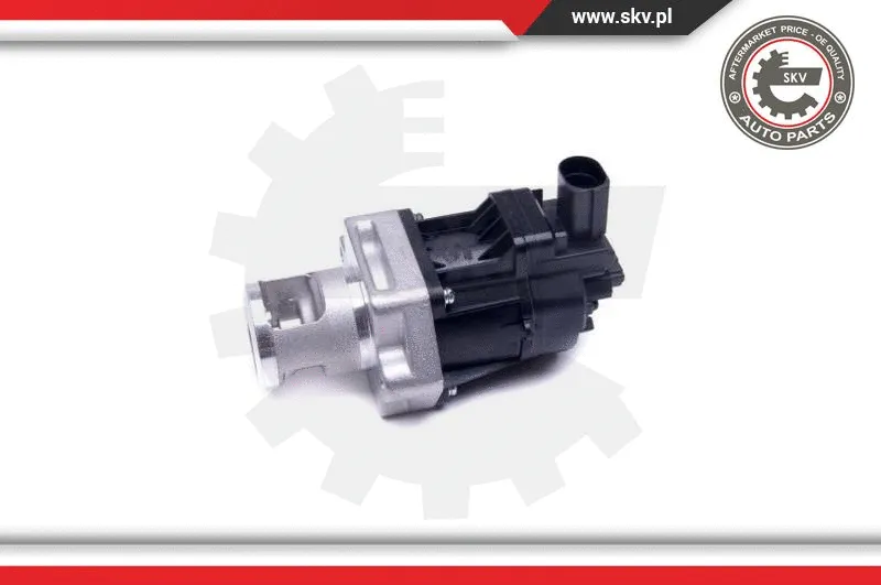 EGR Valve