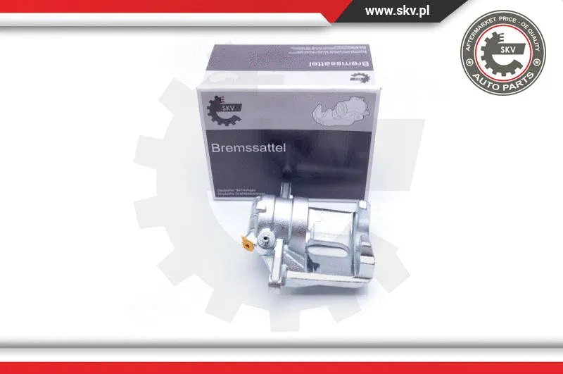 Brake Caliper (42SKV221)